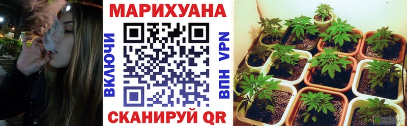 KRAKEN как войти  закладка  Козельск  Шишки марихуана планчик 